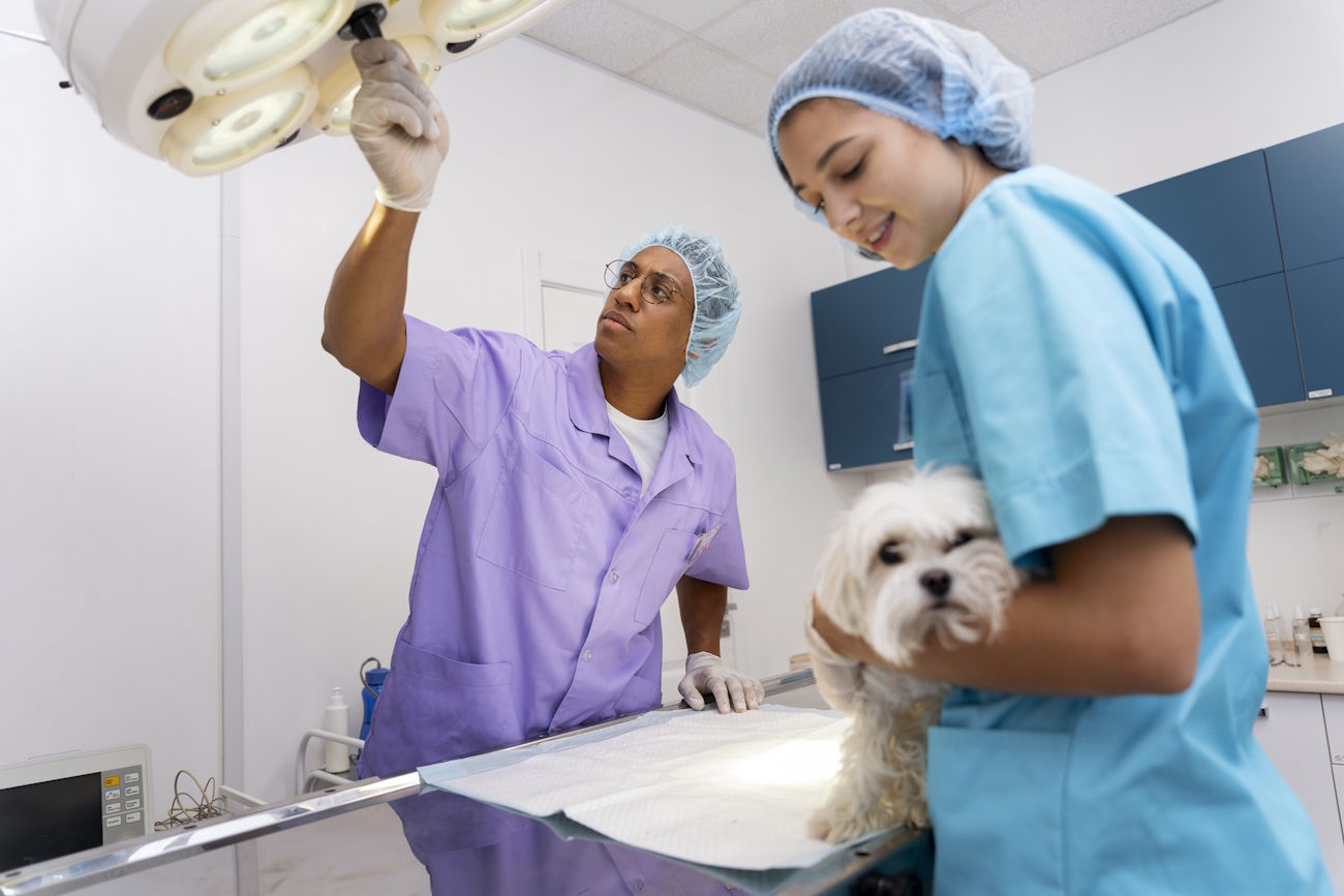 Veterinários com cachorrinho em sala de cirurgia, para simbolizar a equiparação hospitalar para clínicas veterinárias